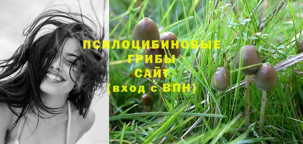 СК Туринск