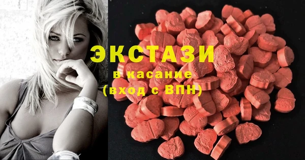 СК Туринск