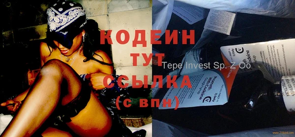 шишки Кизел