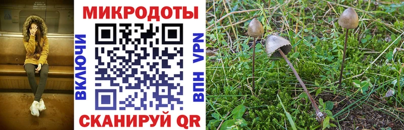 кракен ONION  Нижнекамск  Галлюциногенные грибы Psilocybe  дарк нет наркотические препараты  как найти наркотики 
