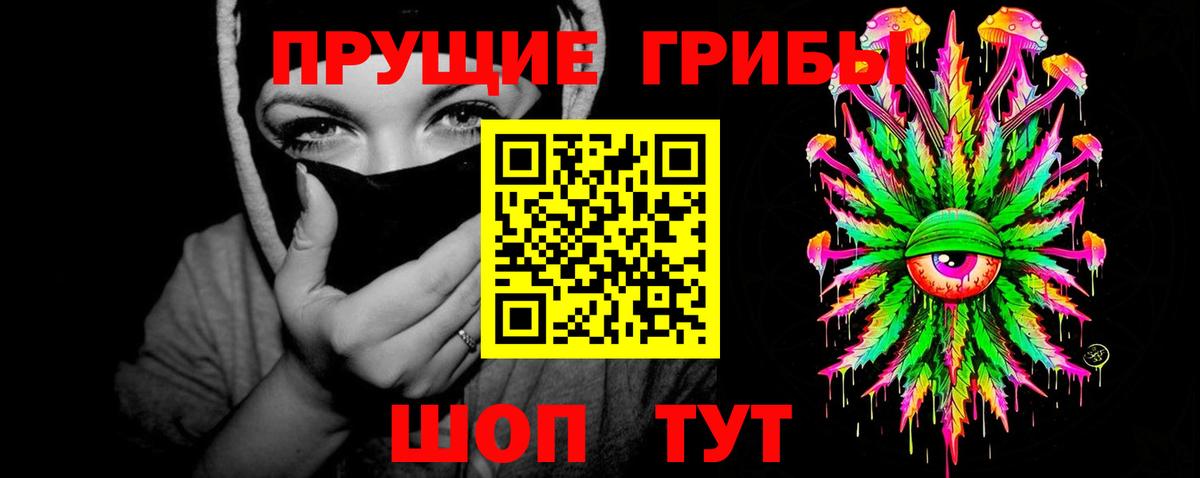 Псилоцибиновые грибы Psilocybe Нижнекамск